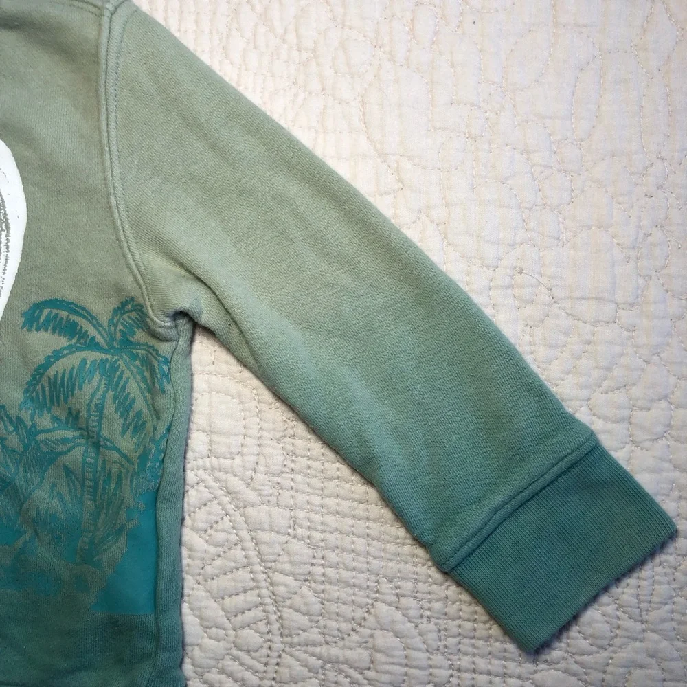 GAP Toddler Green Ombre Dinosaur “Reach for the sky” Sweatshirt Size 18 months